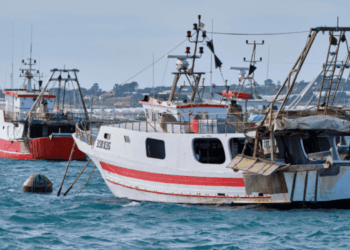 sub-graduatoria GSA 10 pesca a strascico