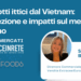prodotto vietnamita in Italia