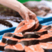 GDO e consumo di pesce
