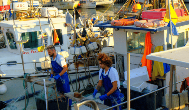 Guida volontaria FAO responsabilità sociale pesca