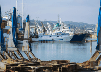 Protocollo ISMEA Federpesca