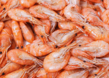 Shelf-life dei gamberi