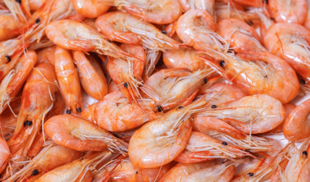 Shelf-life dei gamberi