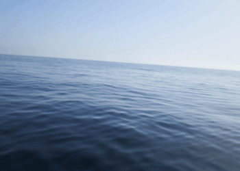 Trattato sull’alto mare