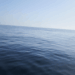 Trattato sull’alto mare