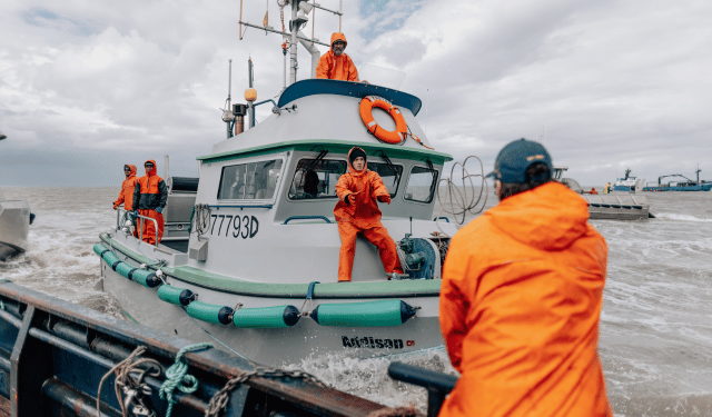 Il pescato dell’Alaska