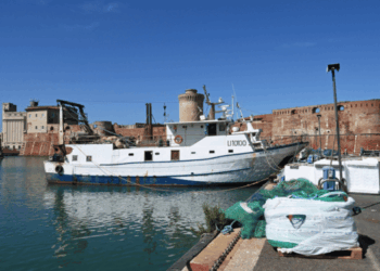 codice della navigazione