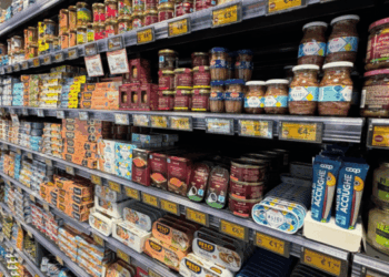 conserve e surgelato