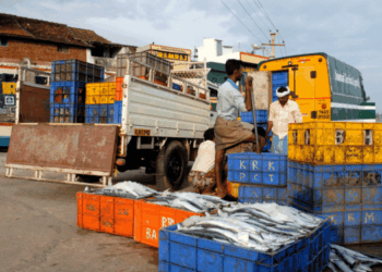 crisi della pesca in India