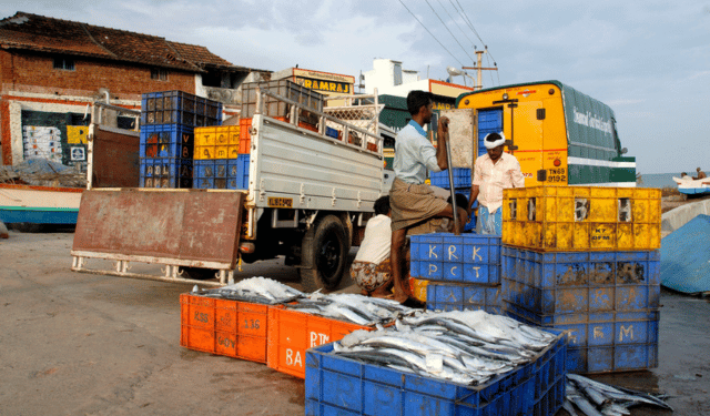 crisi della pesca in India