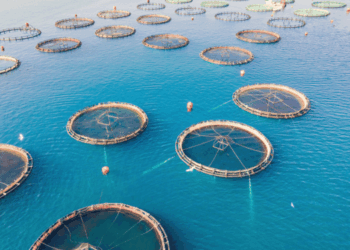 European Aquaculture and the Challenge of Territorial Acceptance