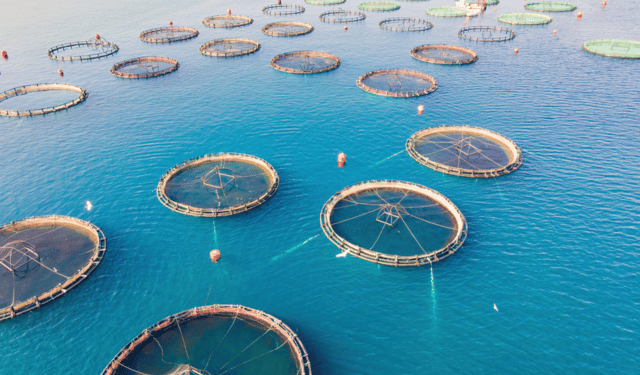 European Aquaculture and the Challenge of Territorial Acceptance