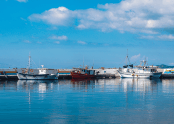 finanziamento della Politica comune della pesca 2028-2034