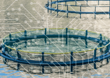 Why AI delivers results only when integrated into solid farm management