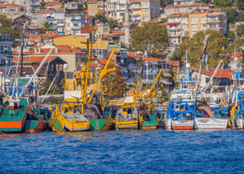 la produzione ittica della Turchia nel 2025