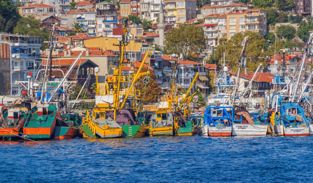 la produzione ittica della Turchia nel 2025