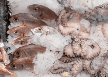 mercato ittico europeo 2026