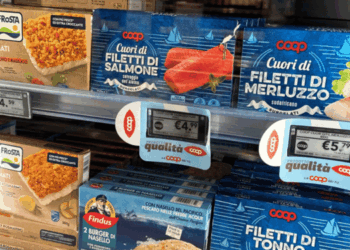 Packaging Industry Between Green Deal Goals and Market Reality