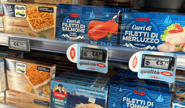 Packaging Industry Between Green Deal Goals and Market Reality