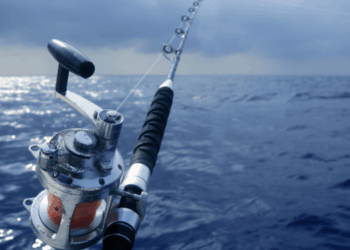 pesca ricreativa