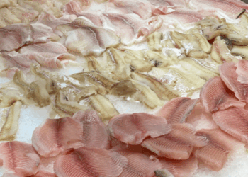 pesce bianco