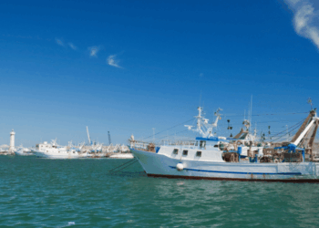 polizza catastrofale