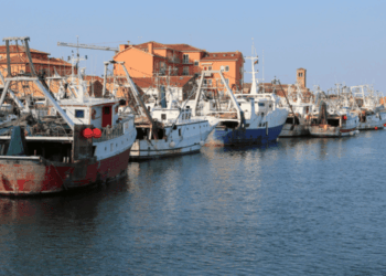 ricorso del governo italiano contro i sistemi di controllo della pesca UE