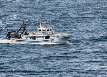 Vision 2040 pesca acquacoltura