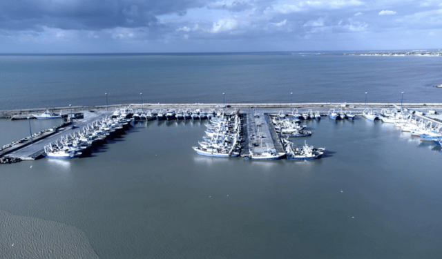 arresto definitivo pesca a strascico GSA 16 24-40 metri