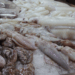 Cephalopods: the clearest signal of Europe’s new seafood balance