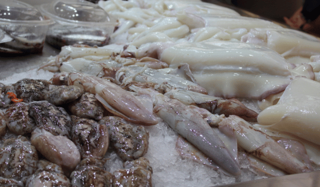 Cephalopods: the clearest signal of Europe’s new seafood balance