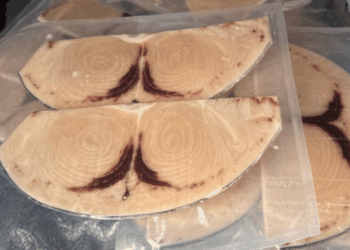 consumo di pesce in Europa ed esposizione al mercurio