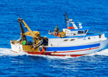 controllo pesca UE CATCH