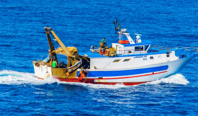 controllo pesca UE CATCH