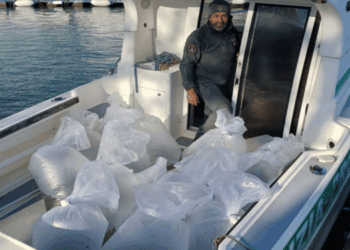 coregoni nei laghi di Garda e Iseo