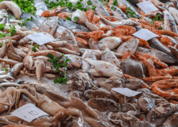 Considered Premium: Why Some Mediterranean Fish Cost More