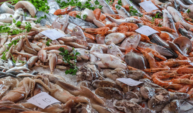 Considered Premium: Why Some Mediterranean Fish Cost More