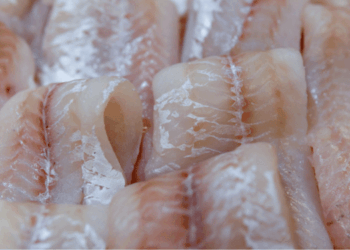 importazioni di filetti di pesce russi nell’Unione Europea