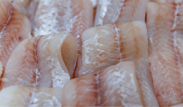 importazioni di filetti di pesce russi nell’Unione Europea