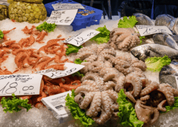 importazioni prodotti ittici autosufficienza UE