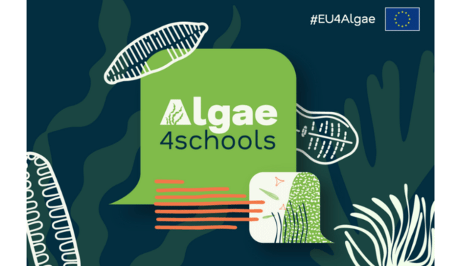 programma europeo EU4Algae scuole