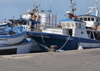 proroga fermo pesca 2024