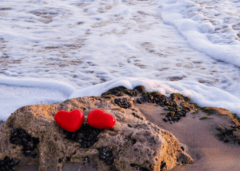 scegliere il pesce giusto a San Valentino