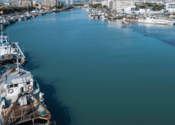 Arresto definitivo pesca strascico Adriatico