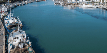 Arresto definitivo pesca strascico Adriatico