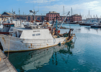 Aumento del costo del gasolio per la pesca