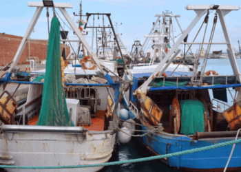 Carburante imbarcazioni