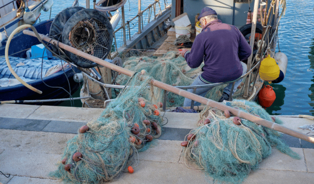 Cisoa per la pesca