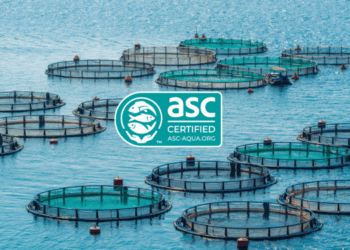 Restyling etichetta ASC