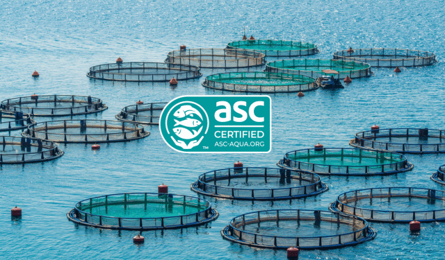 Restyling etichetta ASC
